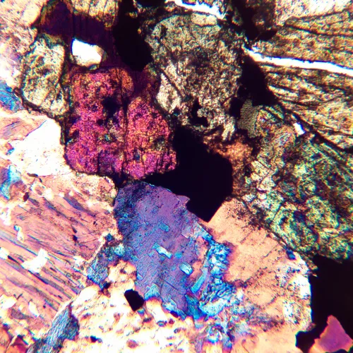 image MAGUS Pol 850 Polarizing Microscope,  20