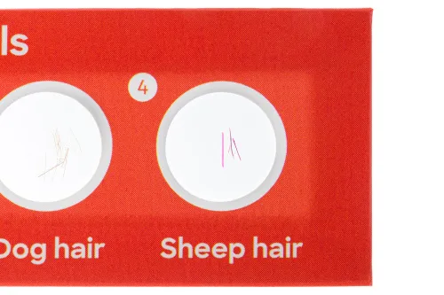 picture Levenhuk Discovery Fauna 12 Prepared Slides Set,  4