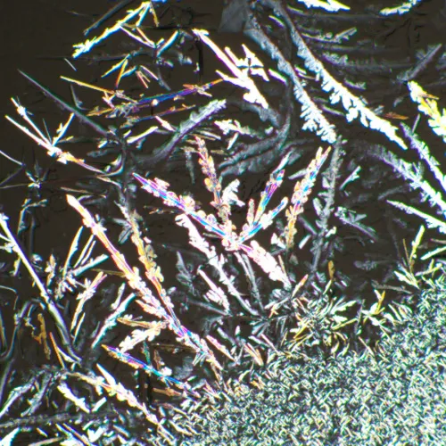 image MAGUS SPD1 Polarizer/Analyzer Set,  6