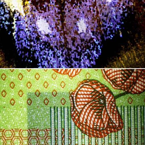 picture Bresser Science ETD 301 Stereo Microscope,  5