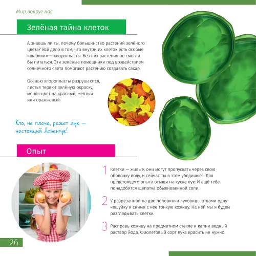 photograph Invisible World. Knowledge book,  4