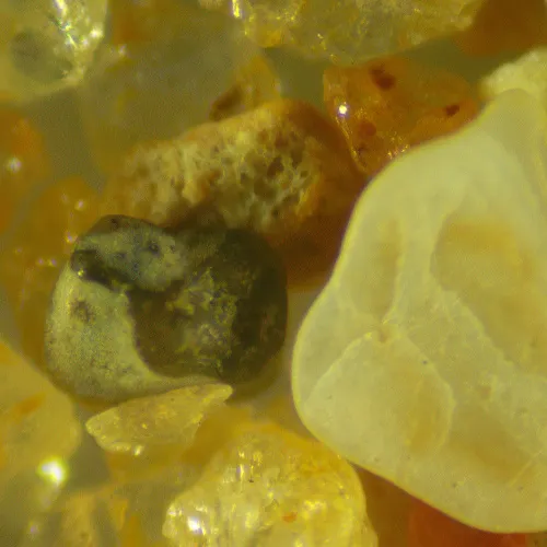 picture MAGUS Stereo D9T Digital Stereomicroscope,  25