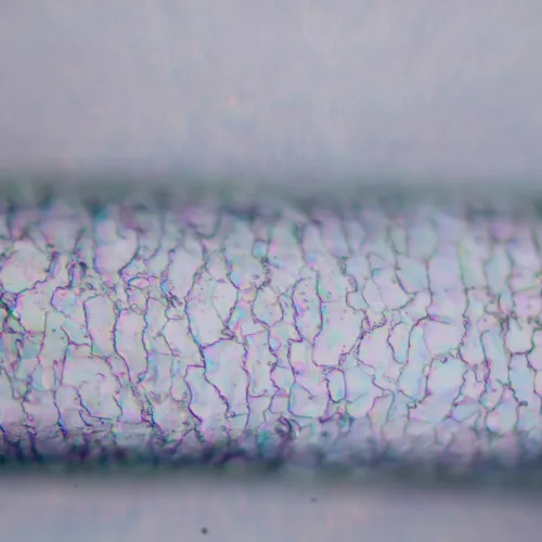 picture MAGUS Pol D850 Polarizing Digital Microscope,  27