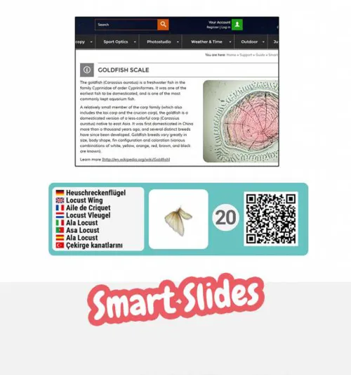 photograph Bresser Junior Microscopy Set,  5