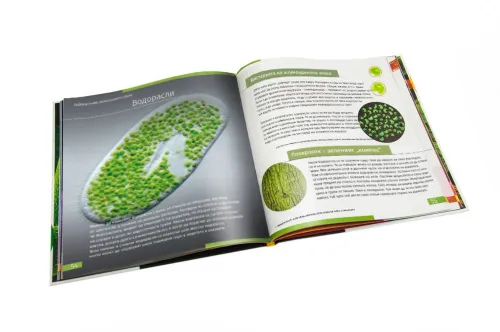 picture Invisible World. Knowledge book. Hardcover,  9