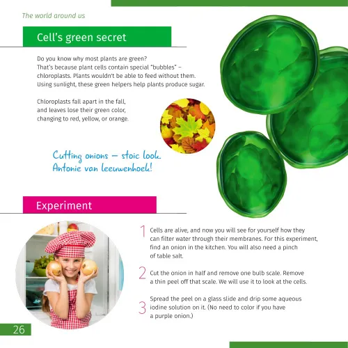 photo Levenhuk Discovery Atto Polar digital microscope with book,  5