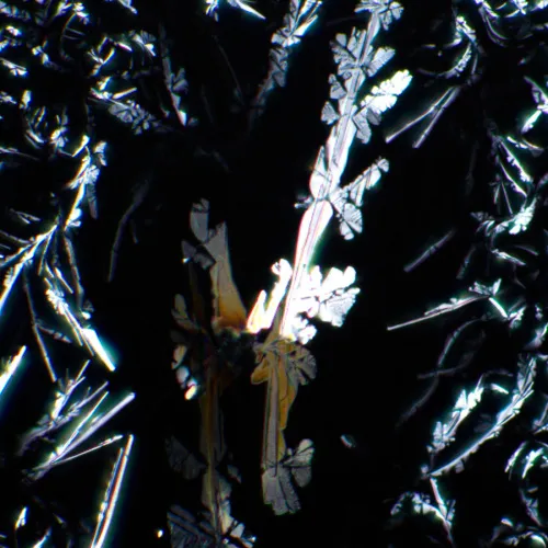 image MAGUS SPD1 Polarizer/Analyzer Set,  7