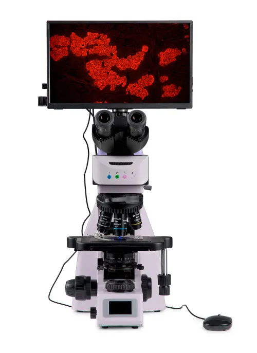 photograph MAGUS Lum D460L LCD Fluorescence Digital Microscope,  9