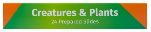 photo Levenhuk LabZZ CP24 Creatures & Plants Prepared Slides Set,  12