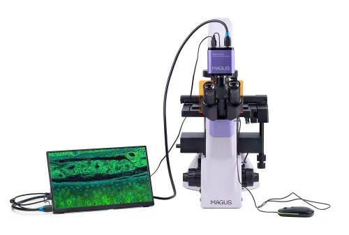 photograph MAGUS Lum VD500L LCD Fluorescence Inverted Digital Microscope,  6