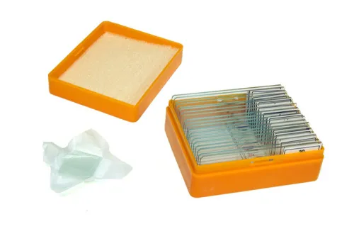 picture Levenhuk N20 NG Prepared Slides Set,  3