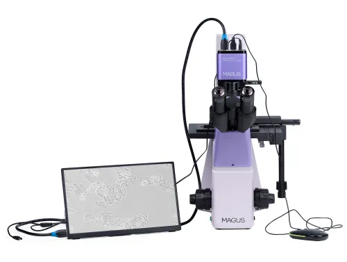 image MAGUS Bio VD300 LCD Biological Inverted Digital Microscope,  6