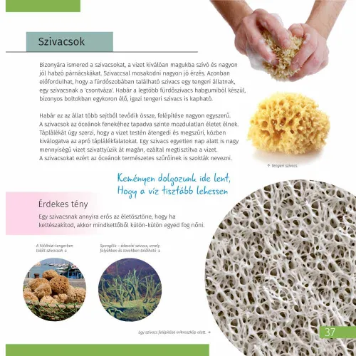 picture Invisible World. Knowledge book. Hardcover,  11