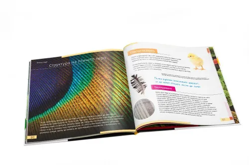 picture Invisible World. Knowledge book. Hardcover,  10