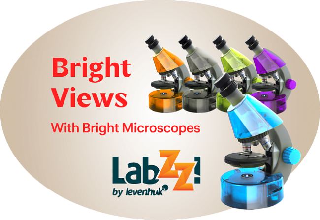 Microscope monoculaire Levenhuk 2S NG Bon marché, prix et offres